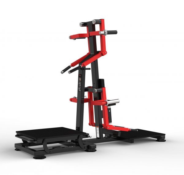 STANDING LATERAL RAISE REALLEADER USA