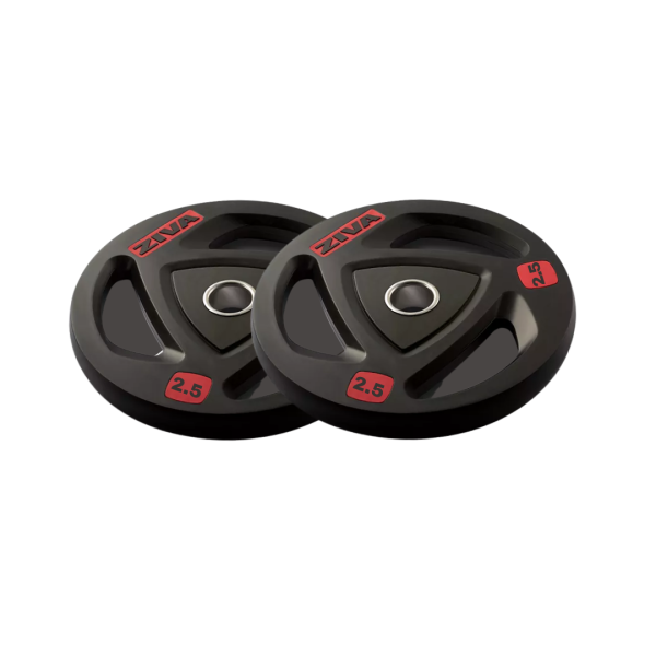 PAR DISCOS ZIVA 2.5KG