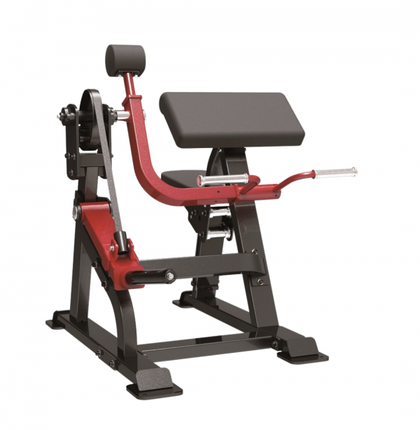 BICEPS CURL IMPULSE STERLING