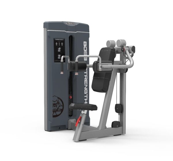 LATERAL RAISE BOSS STRENGTH SILVERBACK STACK 113 KG/ **OFERTA PAGO CONTADO $1.860.000** (transferencia)