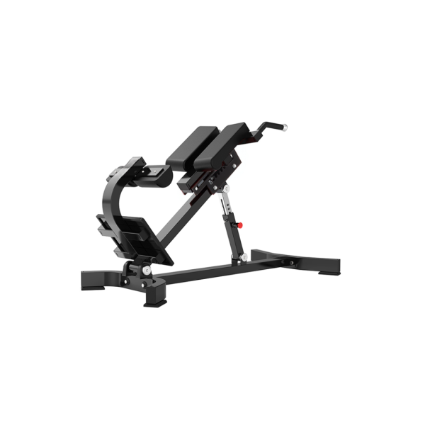 PREVENTA ROMAN CHAIR