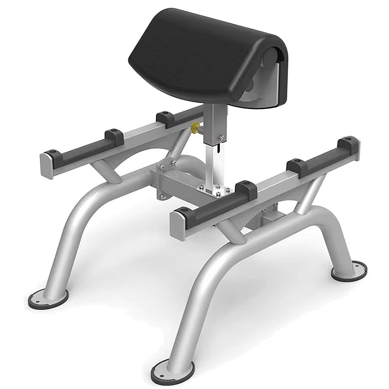 BOSS STRENGTH Standing Biceps Curl