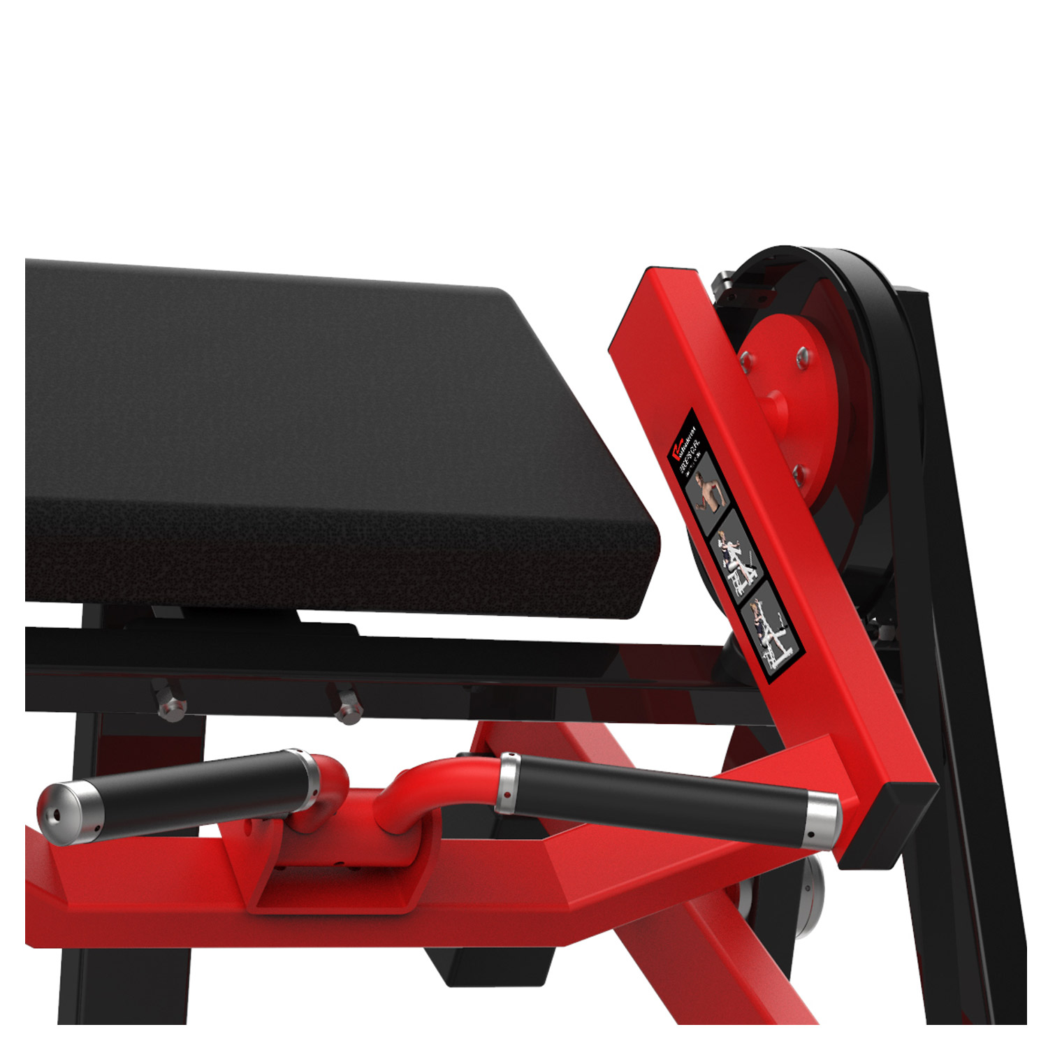 REALLEADER USA Seated Biceps Curl - Imagen 2