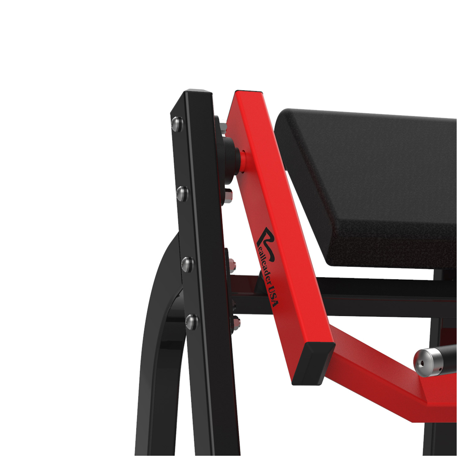 REALLEADER USA Seated Biceps Curl - Imagen 3