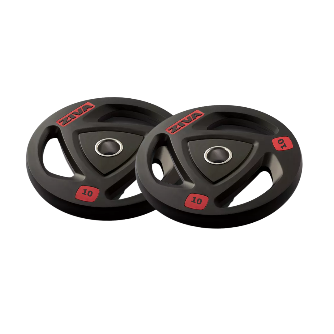 Par Discos Ziva 10kg