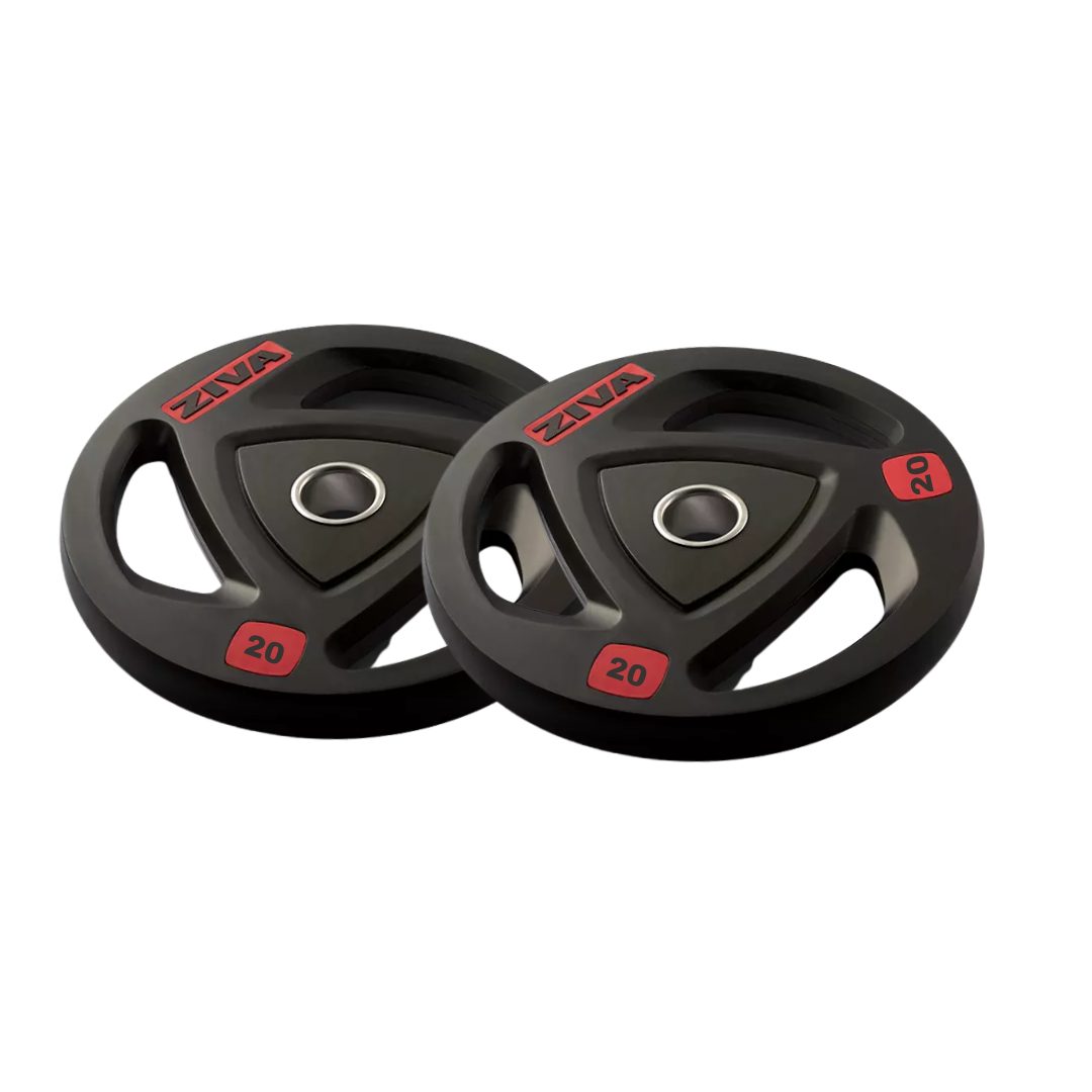Par Discos Ziva 20kg
