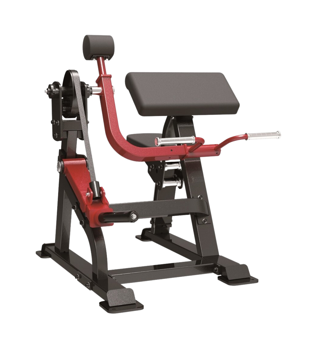 IMPULSE Biceps Curl Sterling