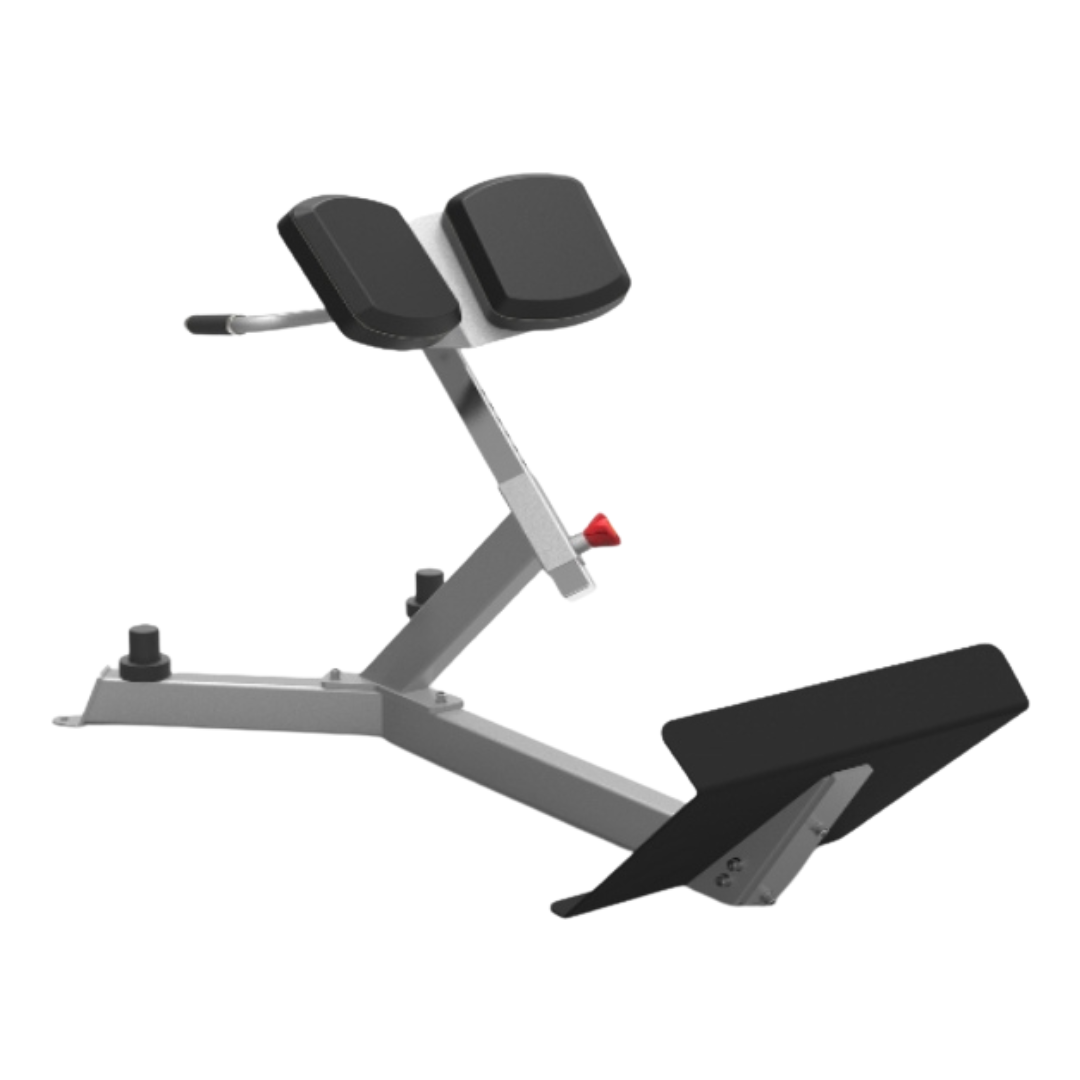 BOSS STRENGTH Ab-Back Machine 1