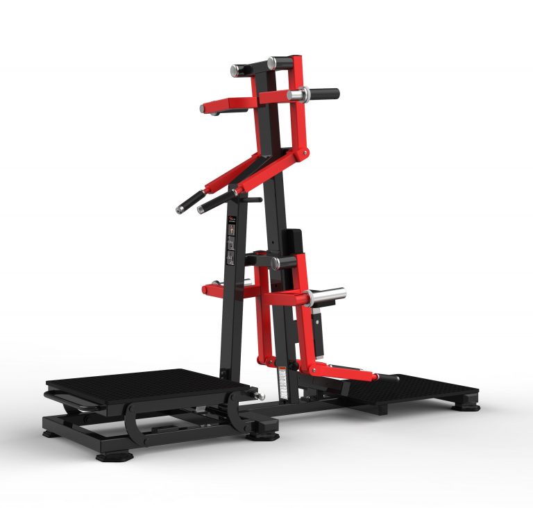 REALLEADER USA  Standing Lateral Raise