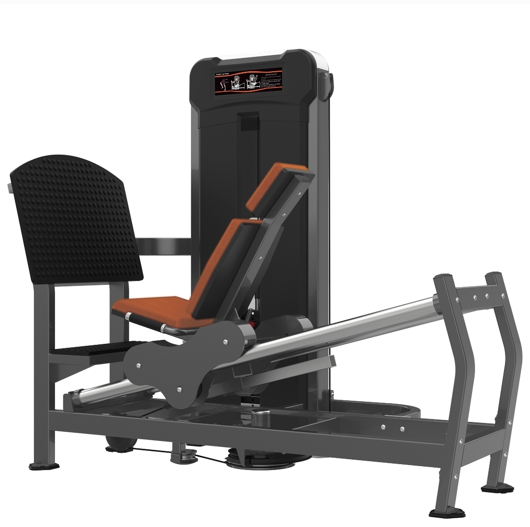 REALLEADER USA Seated Leg Press M3