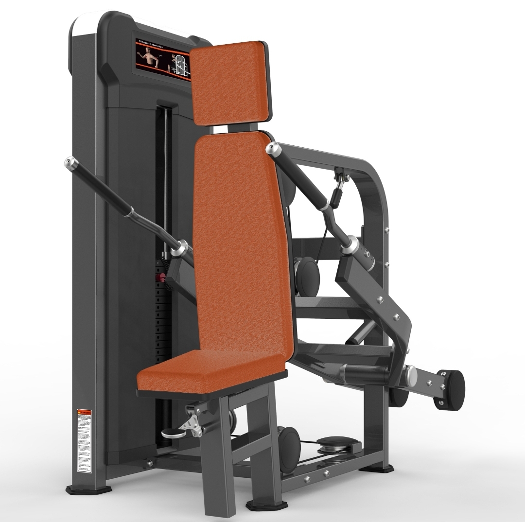 REALLEADER USA Seated Triceps Extension M3