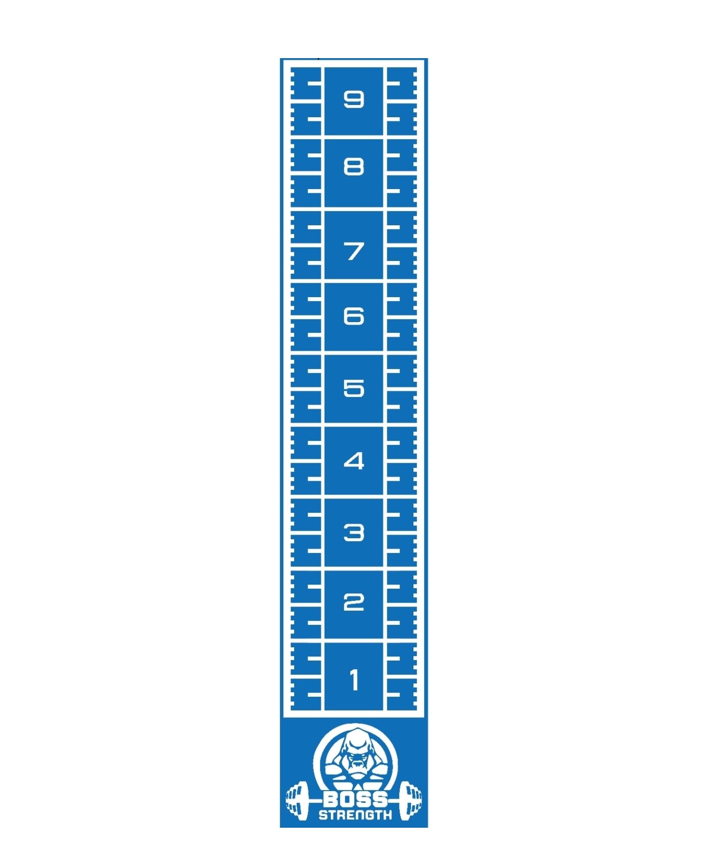BOSS STRENGTH Pasto Sintetico Demarcado Azul 10x2 Mt - 20 Mm